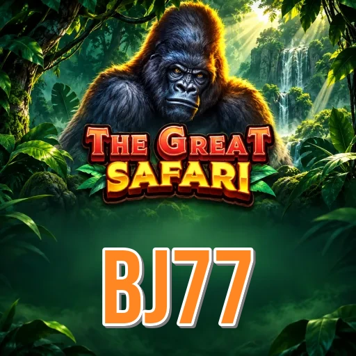 bj77 Overview